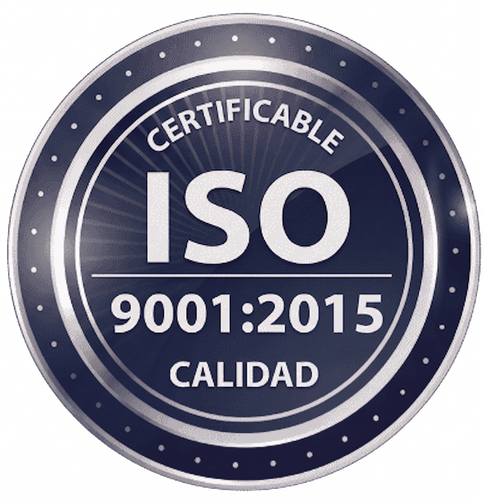 ISO 19011:2018 Directrices para la auditoría de los sistemas de gestión Scansio